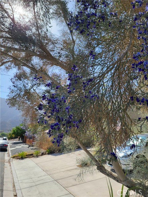 54030 Eisenhower Drive, La Quinta CA: https://media.crmls.org/medias/1a2fac62-ecb9-4bff-9fb1-e212e464484e.jpg