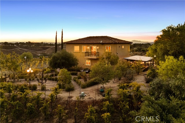 Front Image Thumbnail for CROC25243914