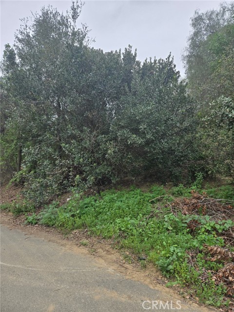 Detail Gallery Image 2 of 10 For 16872 Sumach, Chino Hills,  CA 91709 - – Beds | – Baths