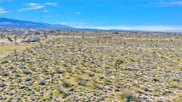 Detail Gallery Image 11 of 14 For 11982 Redwood Rd, Pinon Hills,  CA 92372 - – Beds | – Baths