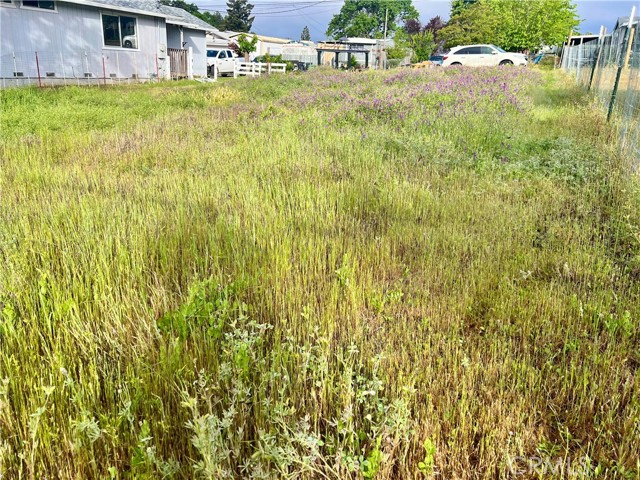 Image 5 of 7 For 6904 Glenn Street