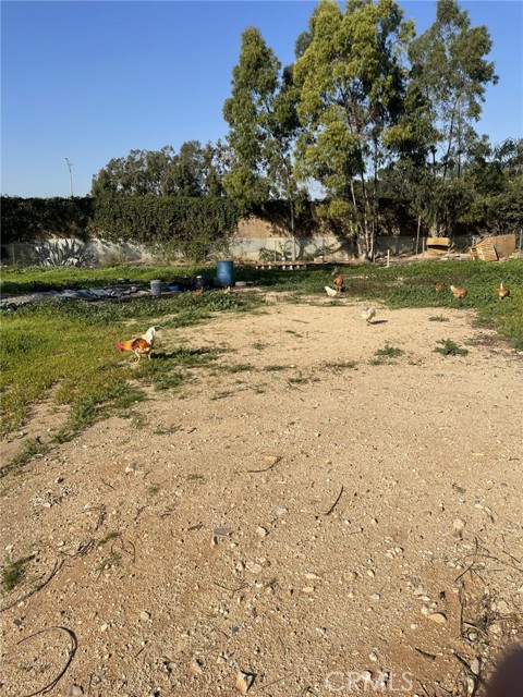 Front Image Thumbnail for CRCV26118791