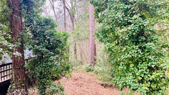 Detail Gallery Image 35 of 35 For 4920 Tippitoe, Forest Ranch,  CA 95942 - 4 Beds | 2/1 Baths