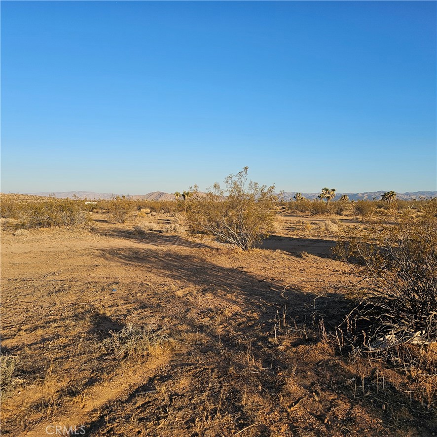 MLS #JT25169268 image #2