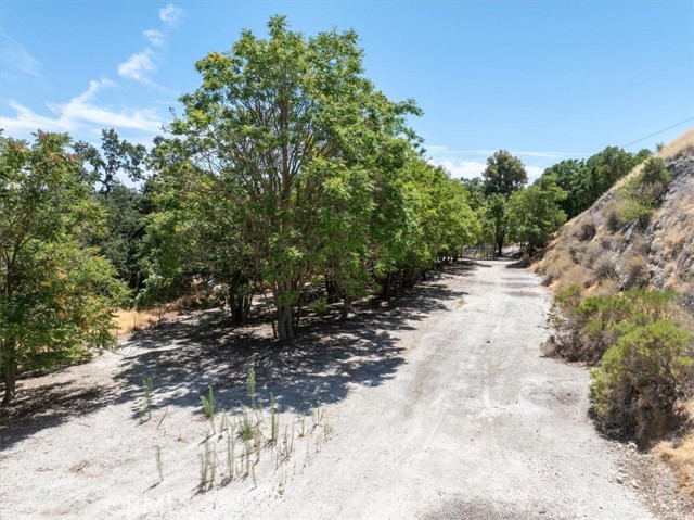 0 Vine Street, Paso Robles CA: https://media.crmls.org/medias/1a3fcb06-5e2e-4b91-a777-c8a9cb38d91e.jpg