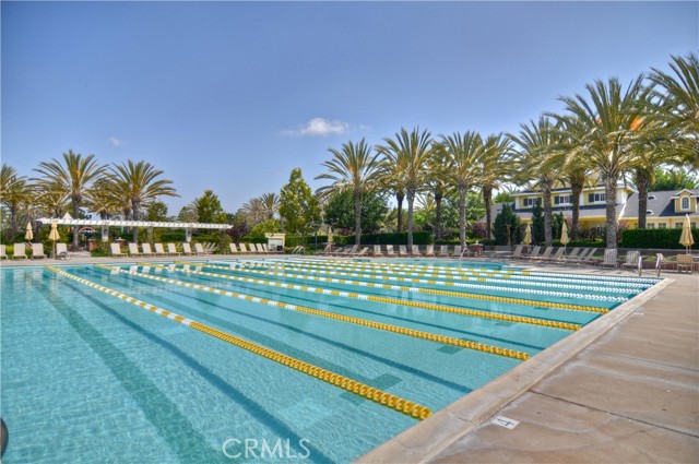 7 Bluewing Lane, Ladera Ranch CA: https://media.crmls.org/medias/1a422987-1300-4f81-b7cc-e3cded4d3bb5.jpg