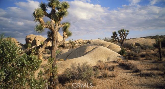 MLS #OC25134895 img 31