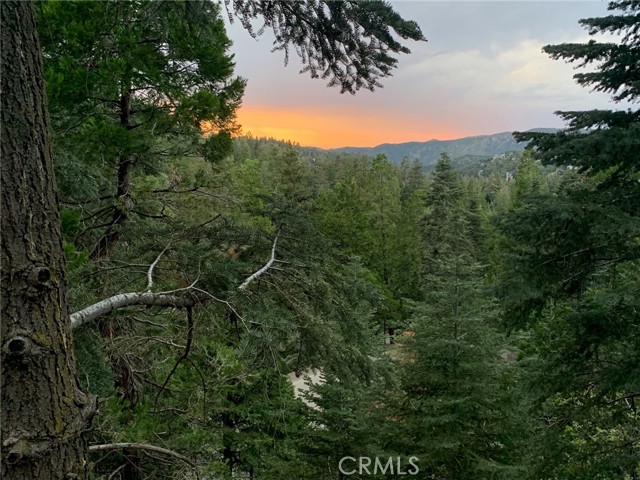 24784 Bernard Drive, Crestline, CA 92325