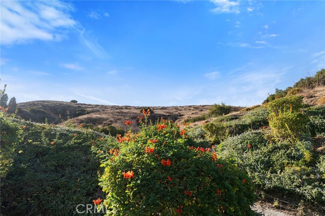 Detail Gallery Image 37 of 39 For 3243 Bluebird Circle, Simi Valley,  CA 93063 - 5 Beds | 4 Baths