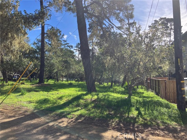 Detail Gallery Image 2 of 7 For 0 Cowper Street, Cambria,  CA 93428 - – Beds | – Baths