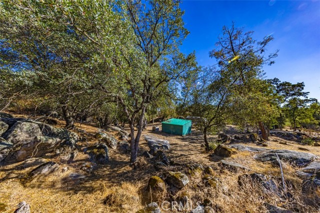 4200 Silver Lane Road, Mariposa, California 95338, ,Land,For Sale,4200 Silver Lane Road,CRFR23186973