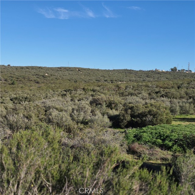 Front Image Thumbnail for CRIV26069782