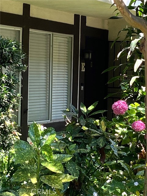 Detail Gallery Image 16 of 25 For 15508 Williams St #E,  Tustin,  CA 92780 - 3 Beds | 2 Baths