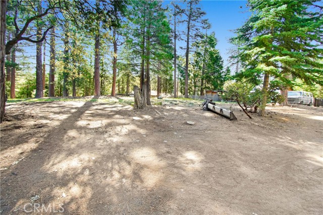 Detail Gallery Image 2 of 20 For 0 Pine Ridge Rd, Idyllwild,  CA 92548 - – Beds | – Baths