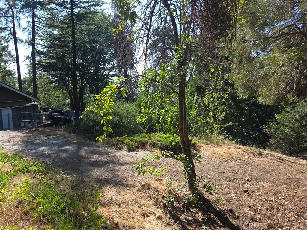 MLS #IV25164283 image #14