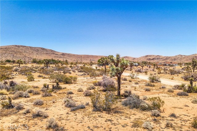 Detail Gallery Image 61 of 75 For 2750 Olympic Rd, Joshua Tree,  CA 92252 - 5 Beds | 4 Baths