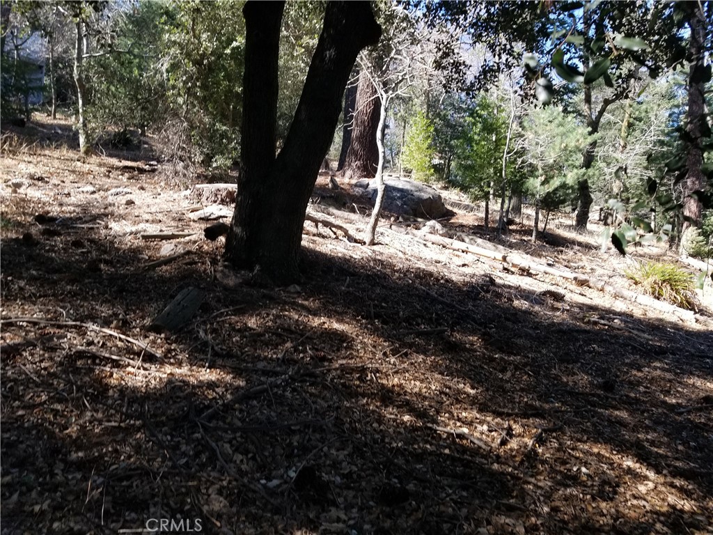 0 Fir Street, Cedarpines Park, CA 92322