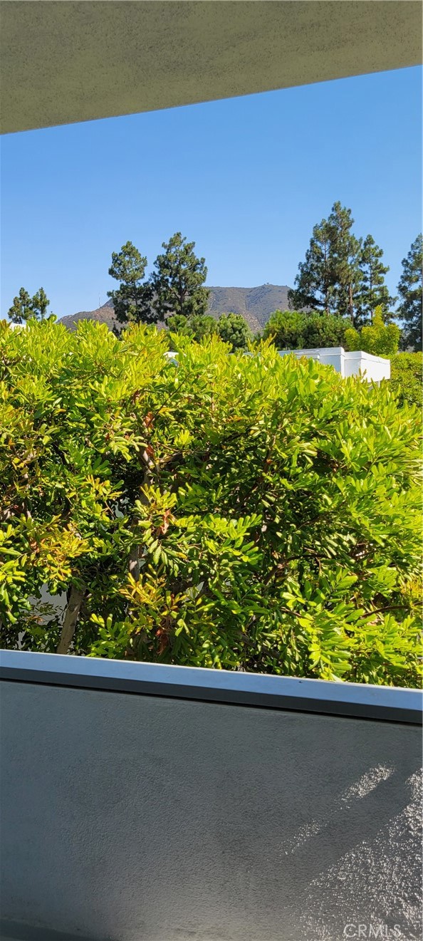 https://media.crmls.org/medias/1a634da5-03c5-4a82-b8c0-930e80d1deec.jpg?preset=X-Large