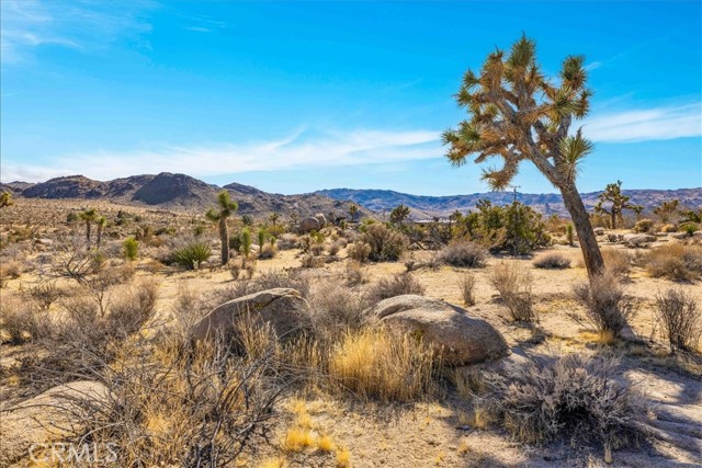 8427 Rock Haven Road, Joshua Tree CA: https://media.crmls.org/medias/1a67669c-b3e6-4459-8d15-285ca416fbce.jpg