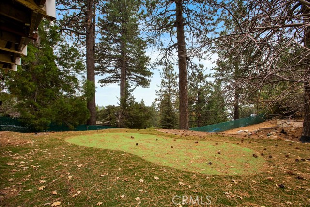 Detail Gallery Image 37 of 40 For 1946 Nob Hill, Running Springs,  CA 92382 - 3 Beds | 2 Baths
