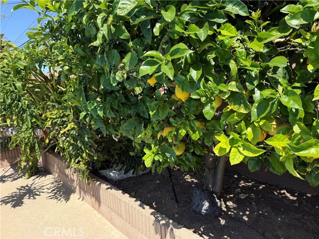 12268 Samoline Avenue, Downey CA: https://media.crmls.org/medias/1a737bf5-c837-4534-8b50-094d2a9607a5.jpg