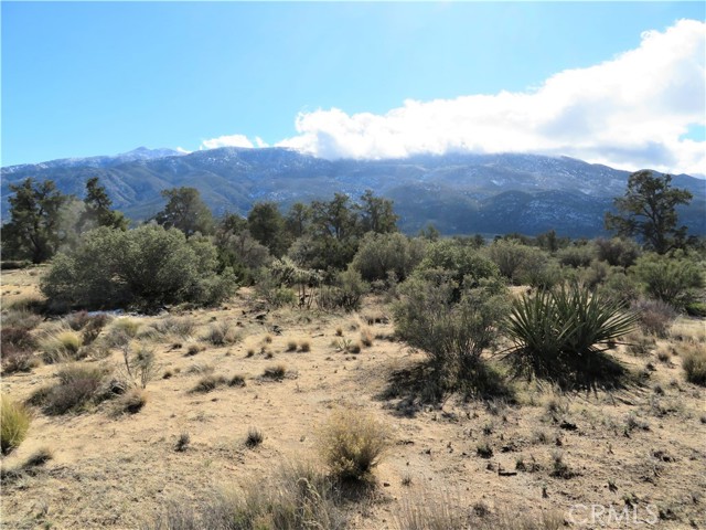 MLS# SW23009391