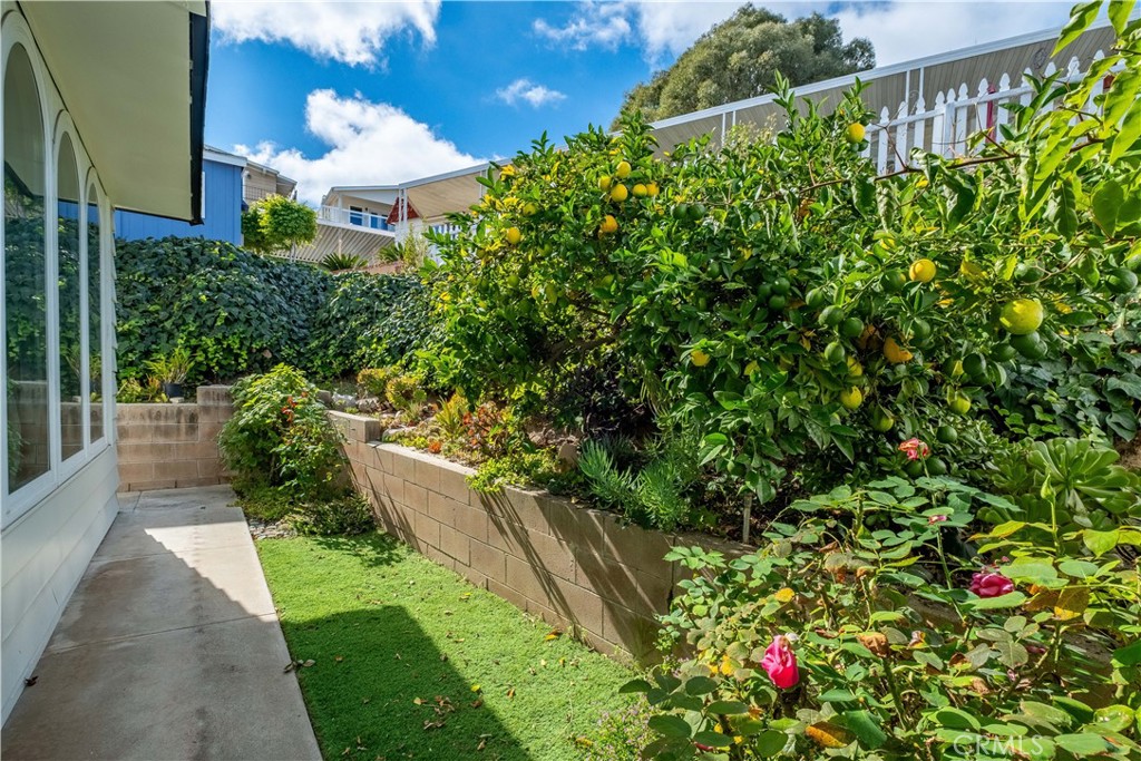 MLS #SB25259523 image #36