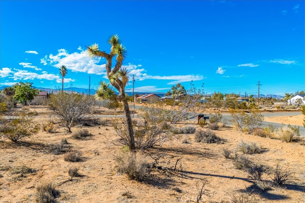 MLS #JT25260837 image #22