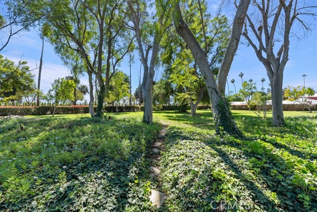 Detail Gallery Image 36 of 56 For 2764 Tropicana, Riverside,  CA 92504 - 4 Beds | 2 Baths