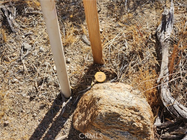 Detail Gallery Image 16 of 18 For 29 Palms Hwy, Morongo Valley,  CA 92256 - – Beds | – Baths