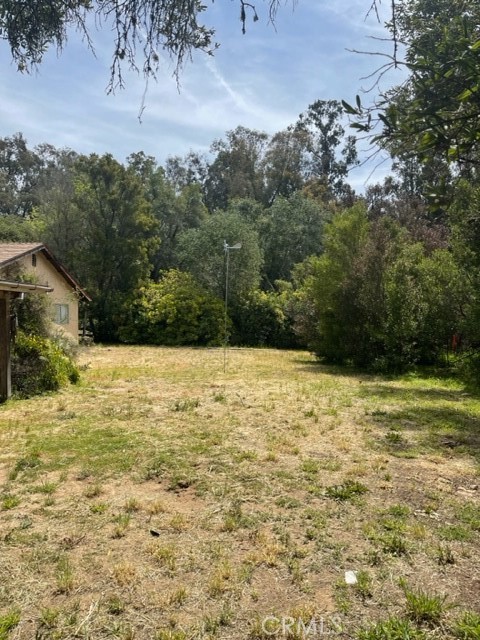 Land area in front of shed lookiing toward backyard