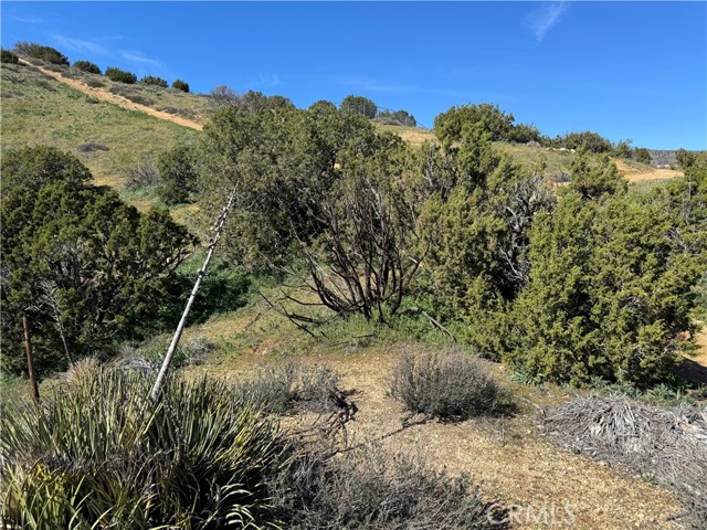 Detail Gallery Image 5 of 8 For 0 0, Acton,  CA 93510 - – Beds | – Baths