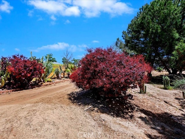 Detail Gallery Image 63 of 74 For 40410 Exa Ely Rd, Hemet,  CA 92544 - 4 Beds | 3 Baths