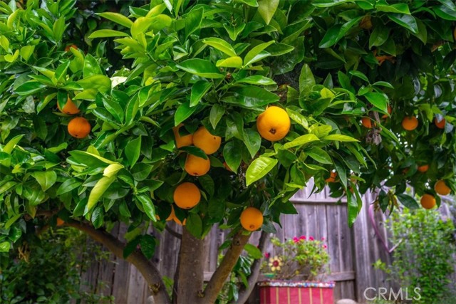 Detail Gallery Image 48 of 64 For 4553 Wavertree, San Luis Obispo,  CA 93401 - 4 Beds | 2/1 Baths