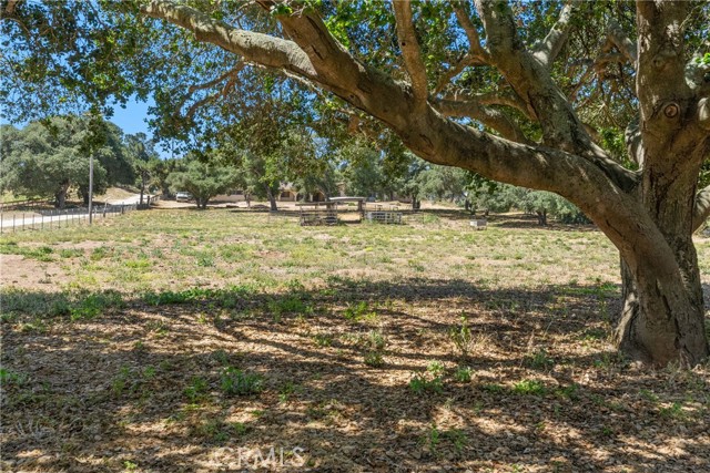 1529 Pomeroy Road, Arroyo Grande CA: https://media.crmls.org/medias/1aa70cc7-b7f5-4a1f-9ba5-b3c108a7b0e4.jpg
