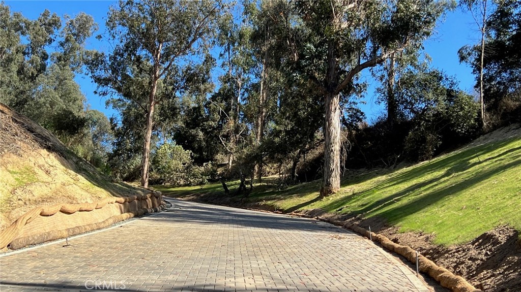 MLS #SW25072509 image #3