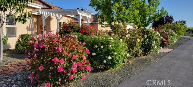 Detail Gallery Image 5 of 74 For 6172 Hawk Ridge Place, Paso Robles,  CA 93446 - 4 Beds | 3/1 Baths