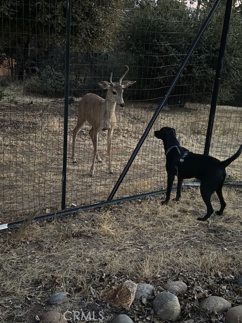 Detail Gallery Image 35 of 41 For 39468 Summit Dr, Oakhurst,  CA 93644 - 4 Beds | 3 Baths