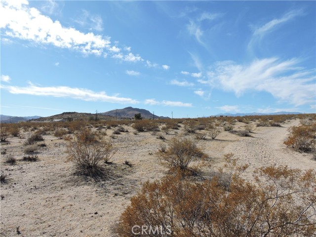 Detail Gallery Image 12 of 15 For 0 Stonehill Ave, Joshua Tree,  CA 92252 - – Beds | – Baths