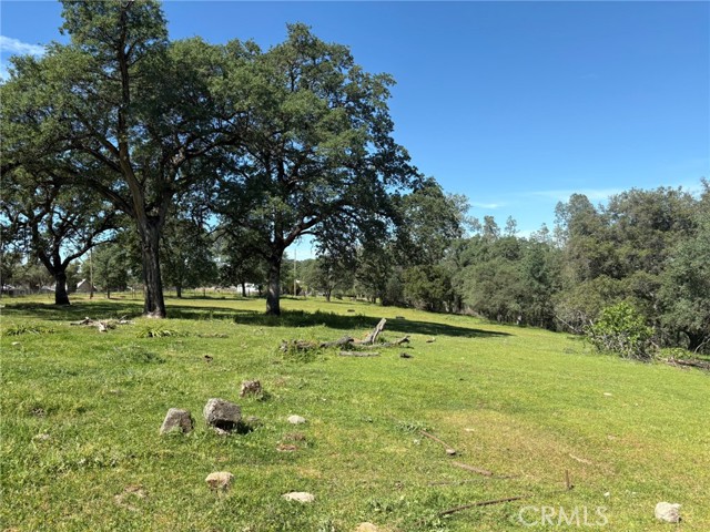 Detail Gallery Image 9 of 26 For 3465 Foothill Bld, Oroville,  CA 95966 - – Beds | – Baths