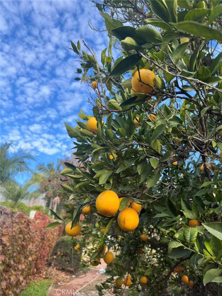 https://media.crmls.org/medias/1ac915b0-3583-44b0-a39c-1b57a0642454.jpg?preset=X-Large