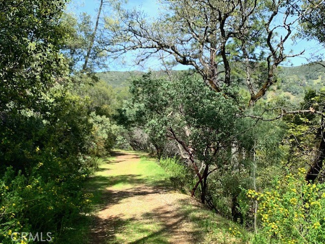 Detail Gallery Image 7 of 11 For 7333 Tehama, Nice,  CA 95464 - – Beds | – Baths