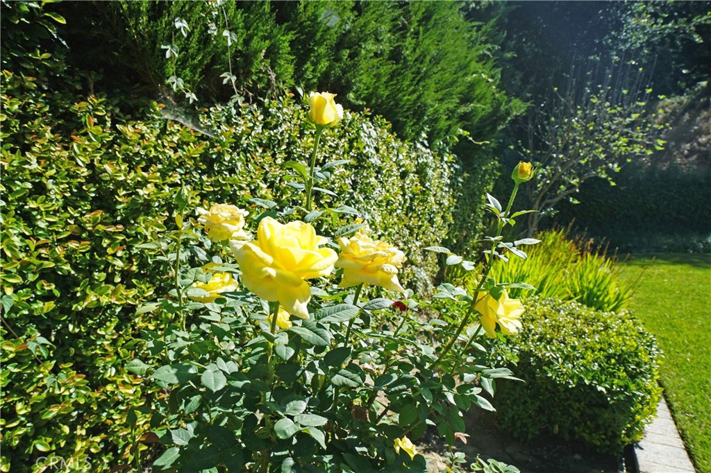 https://media.crmls.org/medias/1ad137ec-44e4-4080-b10a-9d17d6148cb8.jpg?preset=X-Large
