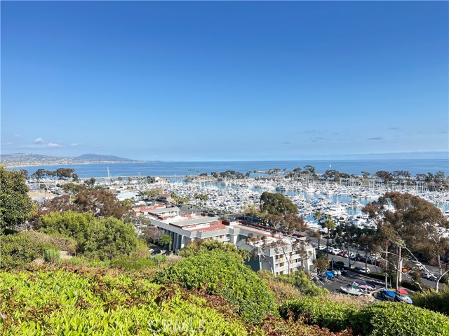 34121 La Serena Drive, Dana Point CA: https://media.crmls.org/medias/1ad2c94a-4b1b-4569-8ee3-ed125b3f6786.jpg