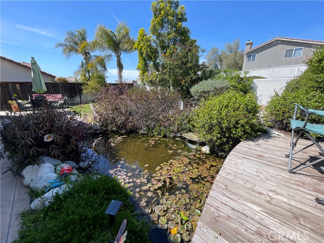 This view is from the wood deck above the koi pond.