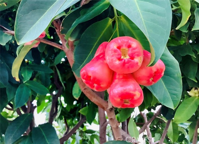 Detail Gallery Image 30 of 39 For Address Is Not Disclosed, Gardena,  CA 90249 - 5 Beds | 4 Baths