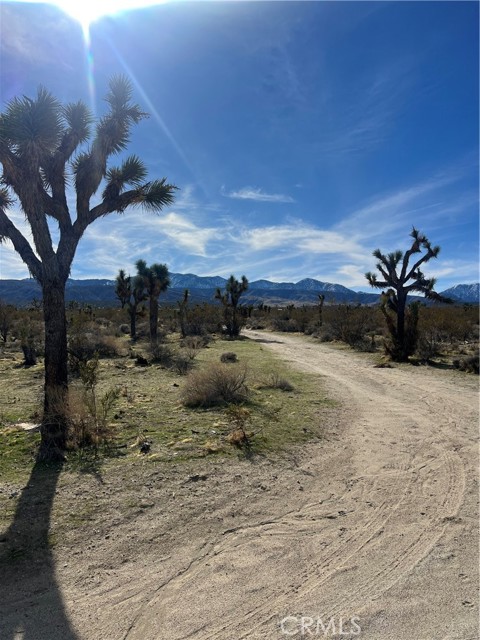 Detail Gallery Image 4 of 15 For 206 S Cor Ave X Largo Vista 2, Llano,  CA 93544 - – Beds | – Baths