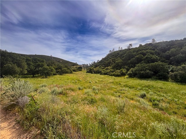 Front Image Thumbnail for CRNS25158351