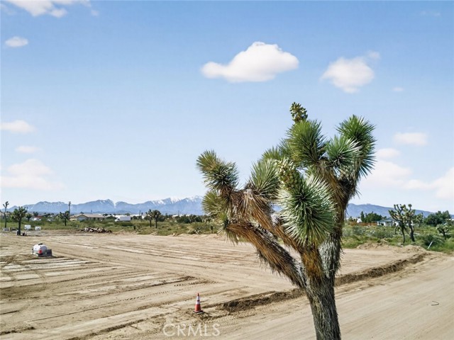 Detail Gallery Image 60 of 61 For 9280 Appleton St, Victorville,  CA 92392 - 4 Beds | 2/1 Baths