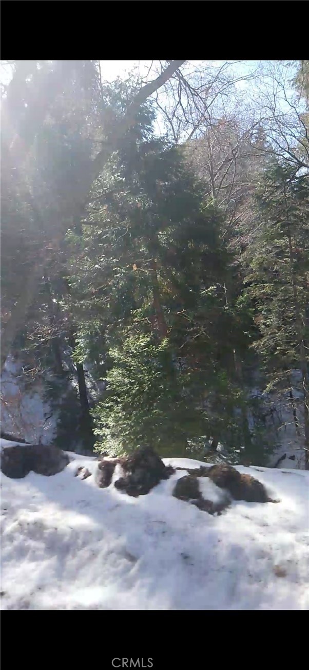 0 Saxon, Crestline CA: https://media.crmls.org/medias/1ae91c00-ebb5-4d8b-9dac-ea50500c57a5.jpg